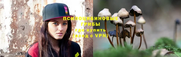 метадон Новодвинск