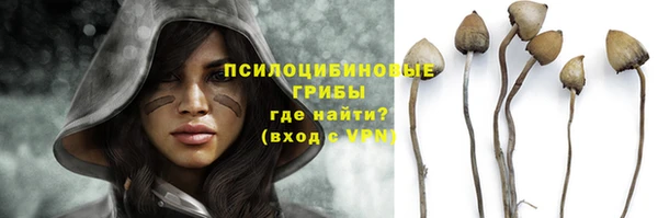 гидра Нефтекумск