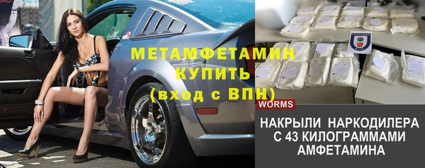 ГАЛЛЮЦИНОГЕННЫЕ ГРИБЫ Гусь-Хрустальный