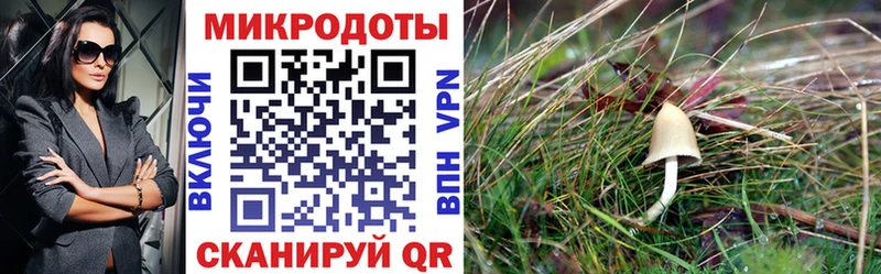 Псилоцибиновые грибы ЛСД купить наркотик Людиново