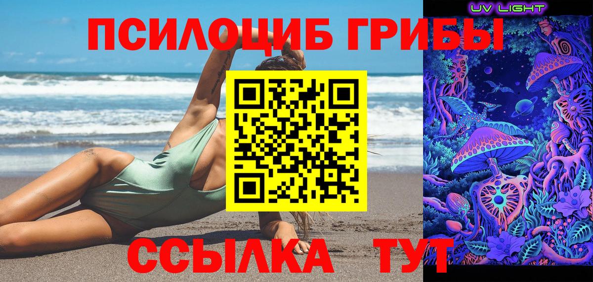 Галлюциногенные грибы GOLDEN TEACHER  Вход с VPN  Людиново 